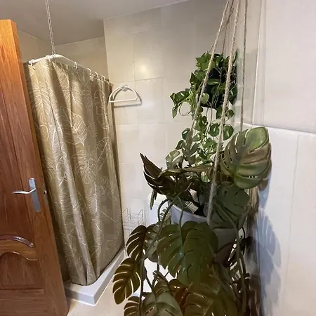 Experience * Peñíscola